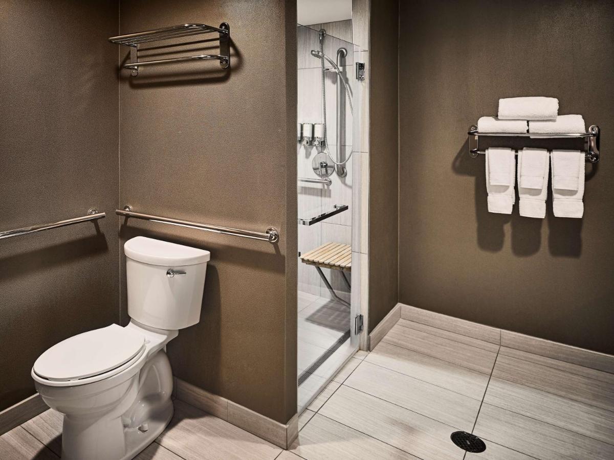 Deluxe King Mobility or Hearing Accessible Roll Shower