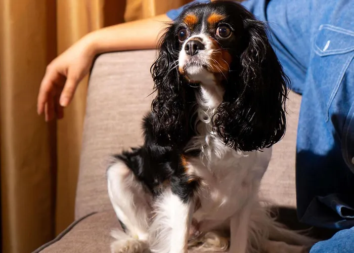 Sofitel Philadelphia At Rittenhouse Square